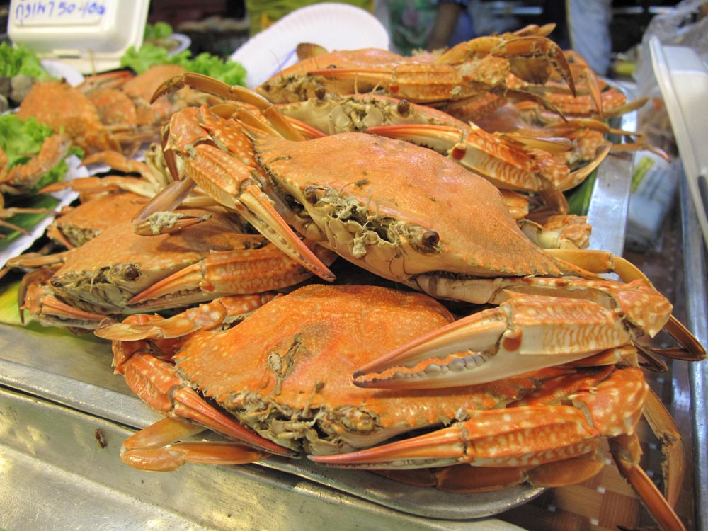 เชิญชิมปูม้าสดๆ ในงาน....เทศกาลชิมปูชัก ชะอำ ครั้งที่ 3 Crab Pulling Festival Cha-Am.